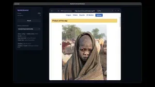 Screenshot of browser